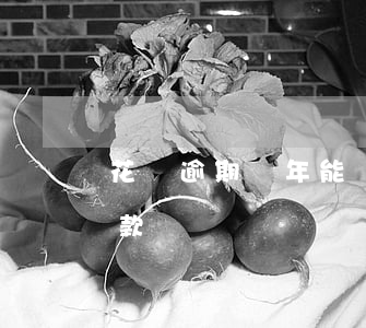 花唄逾期兩年能辦車貸嗎(花唄逾過期影響貸款買車嗎?)