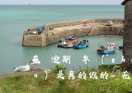 花唄逾期兩年說(shuō)要上門(mén)是真的假的-花唄逾期兩年說(shuō)要上門(mén)是真的假的呀