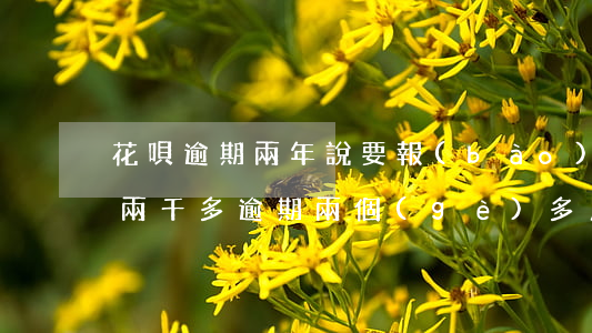 花唄逾期兩年說要報(bào)案(花唄逾期兩千多,逾期兩個(gè)多月說走正常程序,上門調(diào)查)