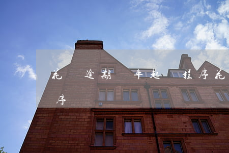 花唄逾期兩年起訴程序(花唄逾期兩年起訴程序)