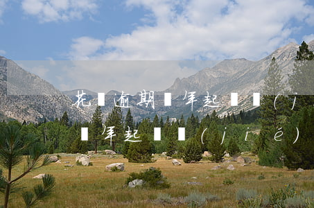 花唄逾期兩年起訴結(jié)果(花唄逾期兩年起訴結(jié)果)