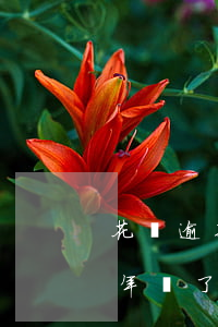花唄逾期兩年還了多久可以使用 花唄逾期2年還了恢復(fù)正常還能漲額度嗎