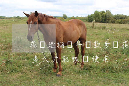 花唄逾期兩年還款步驟(花唄逾期兩年還清后多久才能恢復使用)