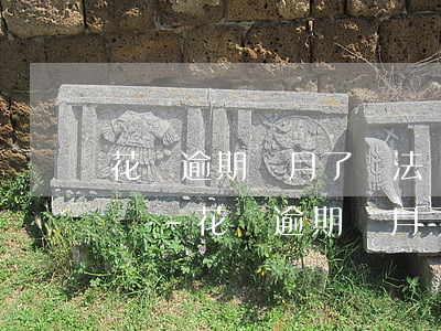 花唄逾期兩月了沒法還完會(huì)上門嗎-花唄逾期兩月了沒法還完會(huì)上門嗎怎么辦