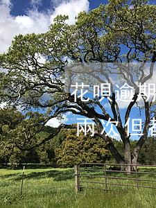 花唄逾期兩次多久恢復(fù)(花唄逾期過兩次,但都沒超過三十天)