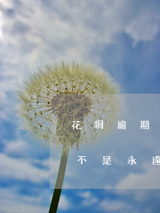 花唄逾期兩次有影響嗎(花唄逾期3個多月是不是永遠(yuǎn)都不會恢復(fù)了)