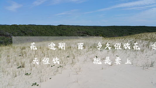 花唄逾期兩百塊多久催收(花唄逾期800多天催收來電話就是要上門)