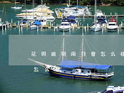 花唄逾期兩百會怎么樣(兩千花唄逾期半年會怎么樣)