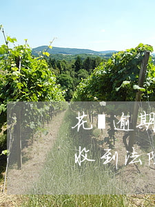 花唄逾期兩萬被起訴(花唄欠款2萬多逾期已收到法院起訴)