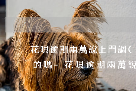 花唄逾期兩萬說上門調(diào)查是真的嗎-花唄逾期兩萬說上門調(diào)查是真的嗎嗎