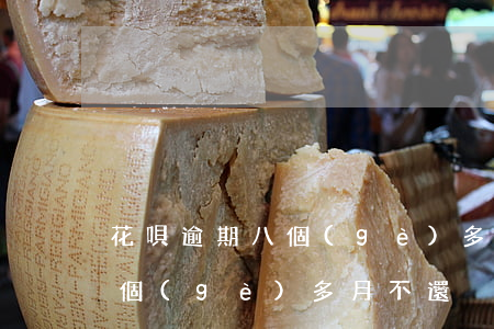 花唄逾期八個(gè)多月不還(花唄逾期八個(gè)多月不還)