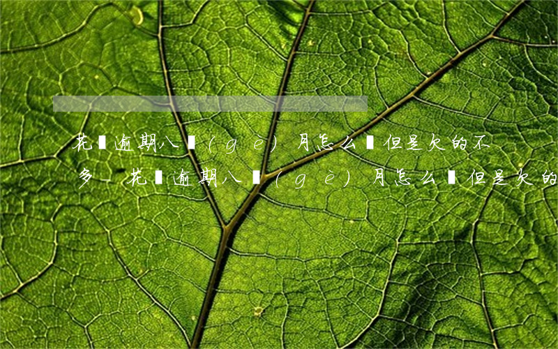 花唄逾期八個(gè)月怎么辦,但是欠的不多-花唄逾期八個(gè)月怎么辦,但是欠的不多怎么辦