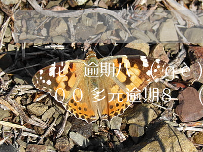 花唄逾期八個(gè)月欠二千(欠花唄3000多元逾期8個(gè)月會(huì)上門嗎?)