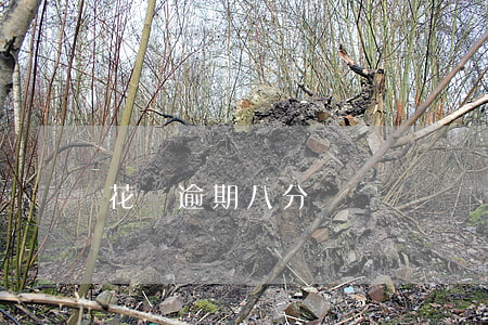 花唄逾期八分鐘