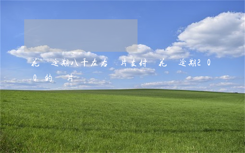 花唄逾期八千左右圖片(支付寶花唄逾期200的圖片)