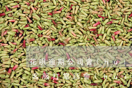 花唄逾期公司會(huì)知道嗎(花唄逾期客服打電話會(huì)有什么后果嗎)