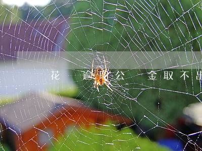 花唄逾期公積金取不出來(公積金能還花唄嗎)