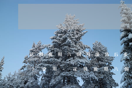 花唄逾期六個月還清后多久才能恢復(fù)使用-花唄逾期六個月還清后多久才能恢復(fù)使用額度