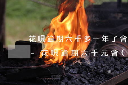 花唄逾期六千多一年了會(huì)上門么-花唄逾期六千元會(huì)不會(huì)真的有人追到家門口