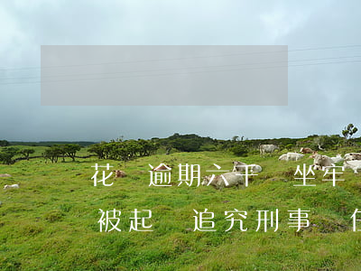 花唄逾期六千會坐牢嗎(花唄逾期五千真的會被起訴追究刑事責任嗎)