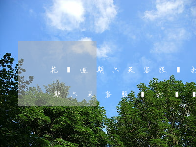 花唄逾期六天客服給打電話怎么辦-花唄逾期六天客服給打電話怎么辦呢