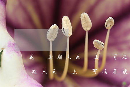 花唄逾期六天還上還可以再使用嗎-花唄逾期六天還上還可以再使用嗎