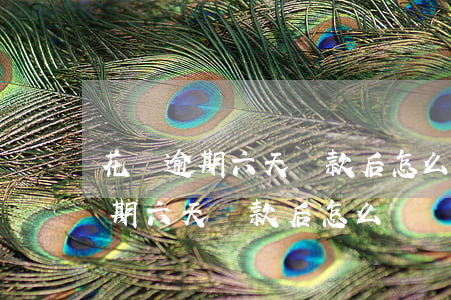 花唄逾期六天還款后怎么還沒解凍-花唄逾期六天還款后怎么還沒解凍呢