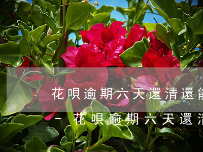 花唄逾期六天還清還能否繼續(xù)使用-花唄逾期六天還清還能否繼續(xù)使用額度