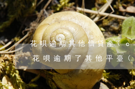 花唄逾期其他信貸產(chǎn)品(是不是花唄逾期了其他平臺(tái)也貸不了款)