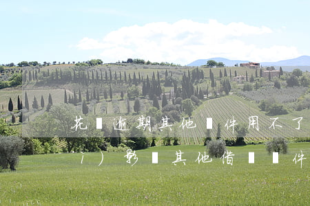 花唄逾期其他軟件用不了(花唄逾期會(huì)影響其他借錢軟件申請(qǐng)嗎)