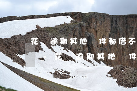 花唄逾期其他軟件都借不到錢(qián)嗎-花唄逾期其他軟件都借不到錢(qián)嗎怎么辦