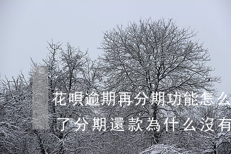 花唄逾期再分期功能怎么沒有了-花唄逾期了分期還款,為什么沒有額度了