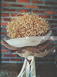 花唄逾期凍結(jié)了只能還(花唄逾期導(dǎo)致花唄凍結(jié)了多久能恢復(fù)?)