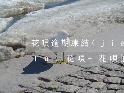 花唄逾期凍結(jié)后還款怎么恢復(fù)花唄-花唄逾期凍結(jié)后還款怎么恢復(fù)花唄使用
