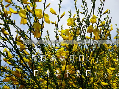 花唄逾期凍結(jié)已經(jīng)還清要不要關(guān)閉