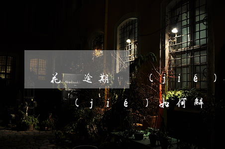 花唄逾期凍結(jié)怎么解凍(花唄被凍結(jié)如何解凍)