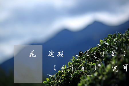 花唄逾期凍結(jié)還能解凍嗎(花唄被凍結(jié)還完可以解凍嗎)