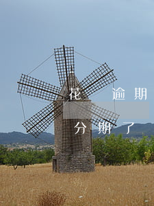 花唄逾期分期了還會不會被催款-花唄逾期分期了還會不會被催款呢