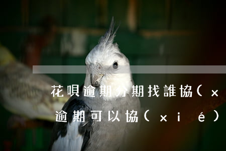 花唄逾期分期找誰協(xié)商(花唄借唄逾期可以協(xié)商分多少期還款)