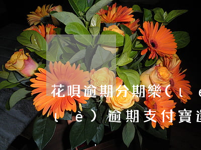 花唄逾期分期樂(lè)還能用嗎(分期樂(lè)逾期,支付寶還能正常使用嗎)