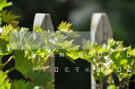 花唄逾期分期買車可以嗎(花唄分期沒(méi)還完可以貸款買車嗎)