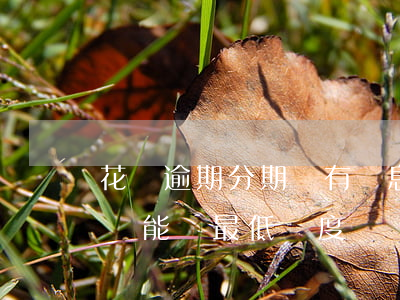 花唄逾期分期還有罰息嗎(花唄分期逾期兩天還能還最低額度嗎?)