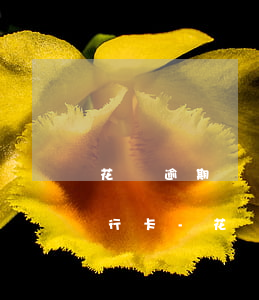 花唄逾期別人支付寶轉(zhuǎn)我銀行卡-花唄逾期別人支付寶轉(zhuǎn)我銀行卡可以嗎