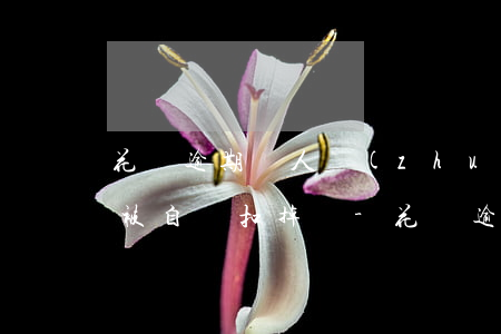 花唄逾期別人轉(zhuǎn)賬支付寶會被自動扣掉嗎-花唄逾期別人轉(zhuǎn)賬支付寶會被自動扣掉嗎