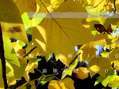 花唄逾期利息1000多可以減免多少-花唄逾期利息1000多可以減免多少呢