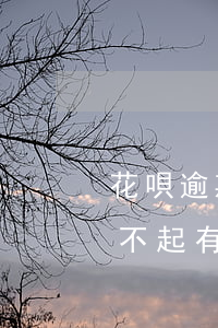 花唄逾期利息2017(花唄逾期利息太高還不起有沒有減利息的)