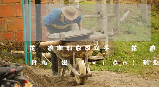 花唄逾期利息可以不還嗎(花唄逾期還款了為什么還出現(xiàn)利息未還款)