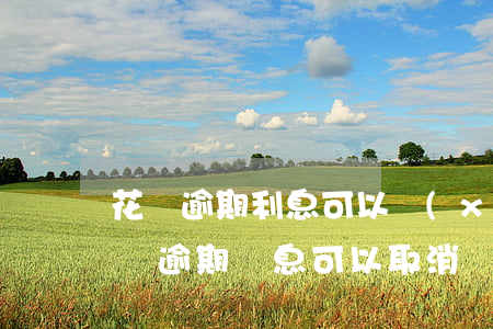 花唄逾期利息可以協(xié)商嗎(花唄借唄逾期罰息可以取消協(xié)商還款嗎)