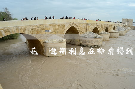 花唄逾期利息在哪看得到(花唄利息從哪看)