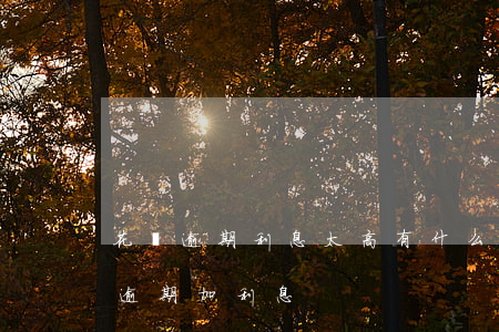 花唄逾期利息太高有什么辦法能減免么（花唄逾期加利息）